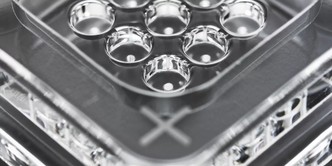 131106 louwershanique 16093