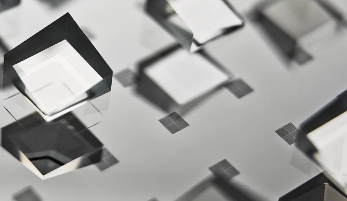 Micro-optical assembly | Thumbail | DSPE | LouwersHanique